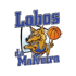 Lobos Da Malviera (W) 队徽